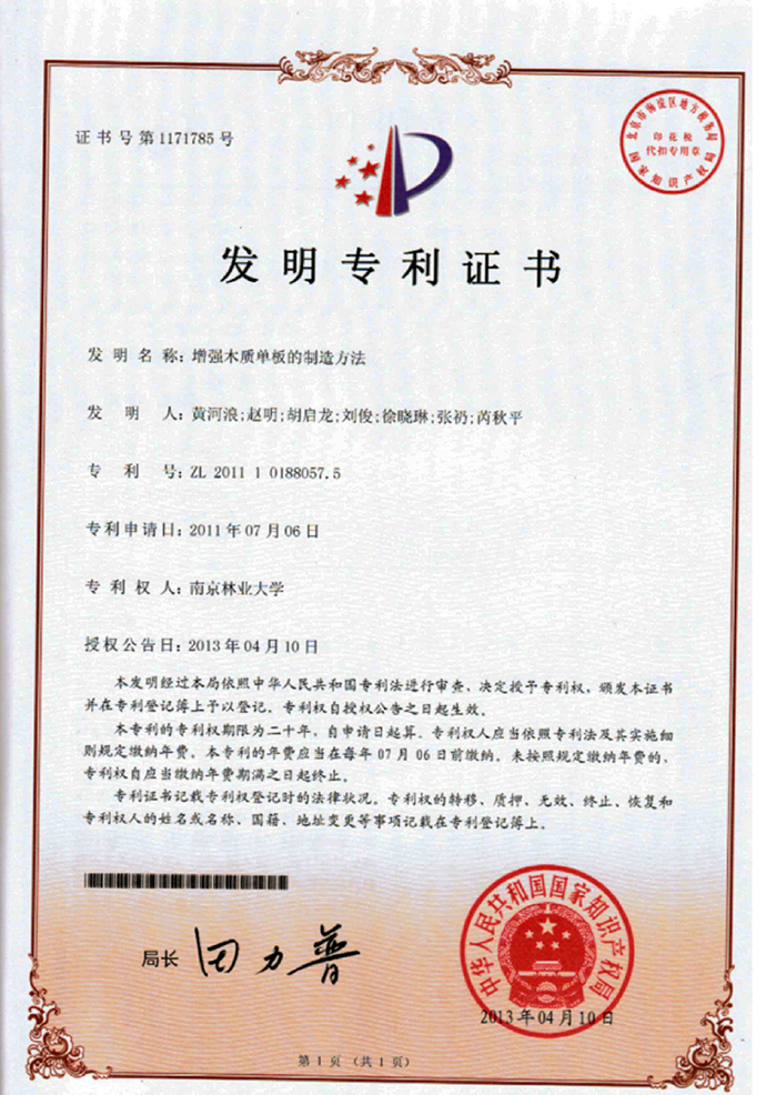 发明专利