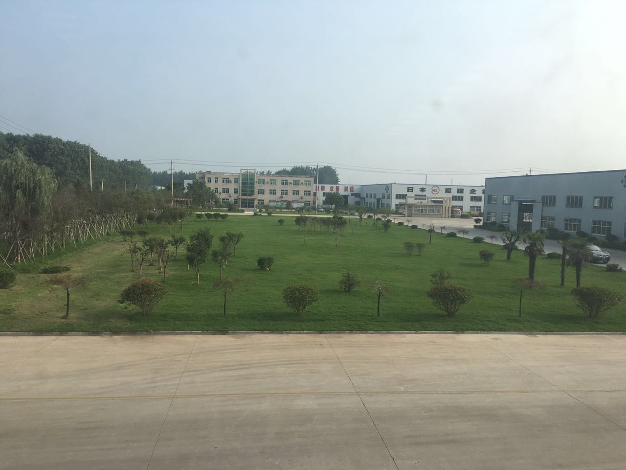 公司环境